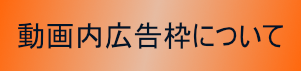 動画内広告枠について